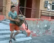 всегда есть грузчики