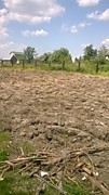 после нас такое остается поле (расчистка)