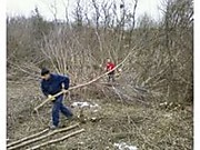 расчистка территории